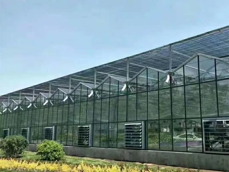 Čo robí Steel Vertical Farm budúcnosťou udržateľného poľnohospodárstva?
